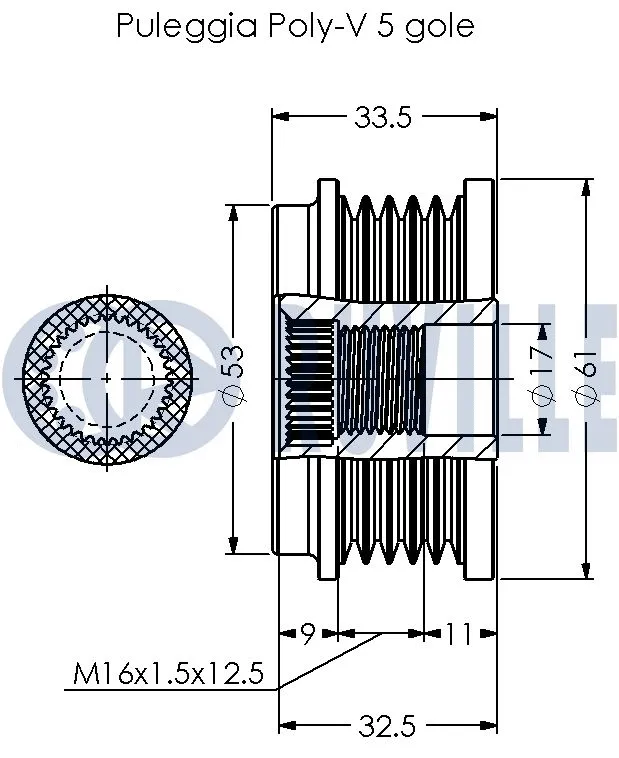 Alternator Freewheel Clutch