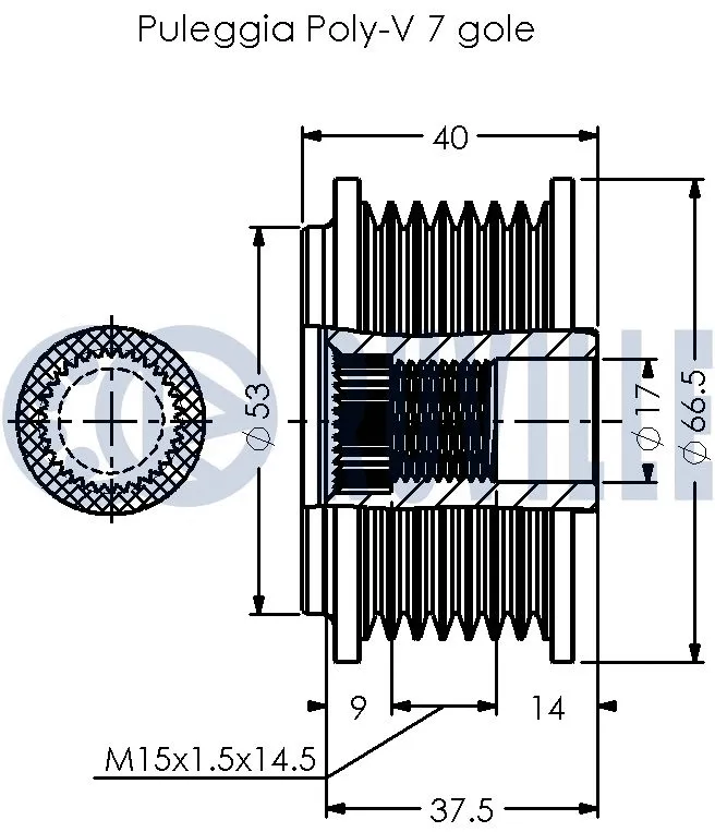 Alternator Freewheel Clutch