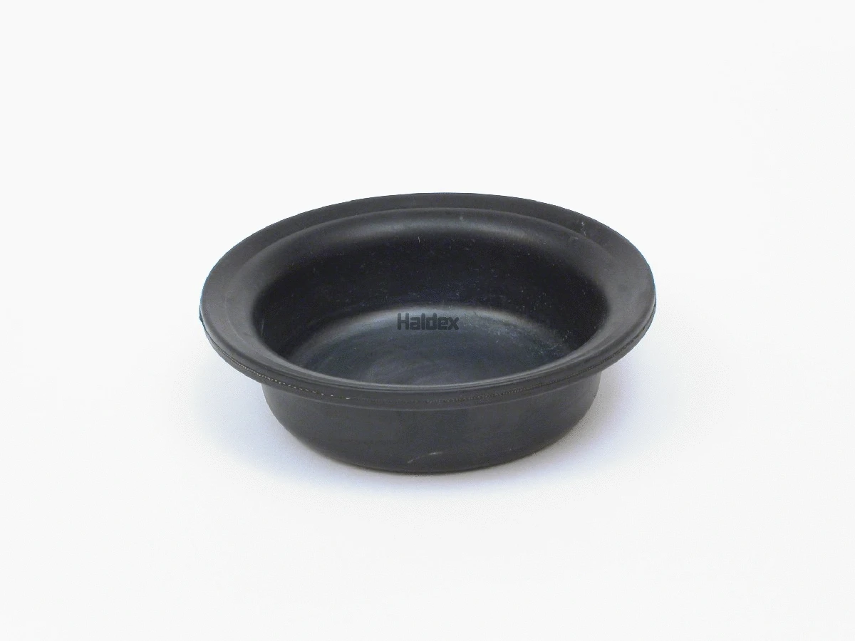 Diaphragm Brake Cylinder (025040909)