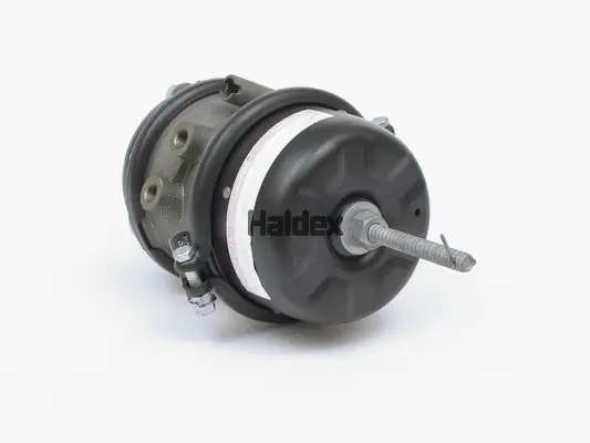 Spring-loaded Cylinder (346187001)