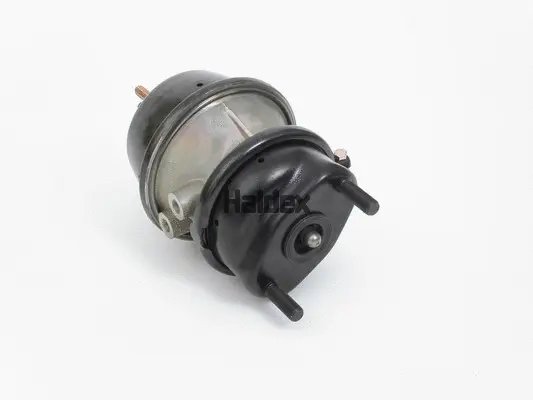 Spring-loaded Cylinder (1351624007)