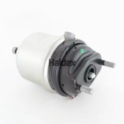 Spring-loaded Cylinder (342161601)