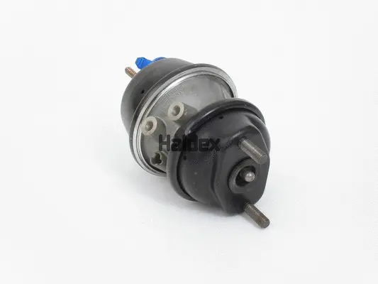 Spring-loaded Cylinder (1351624006)