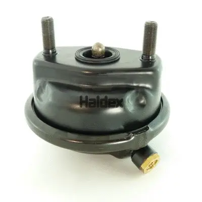 Diaphragm Brake Cylinder (125240405)