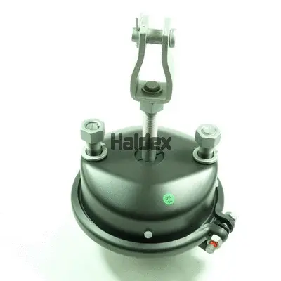 Diaphragm Brake Cylinder (120920335)