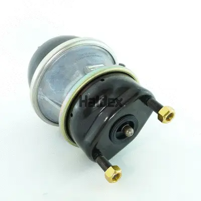 Spring-loaded Cylinder (1351624013)