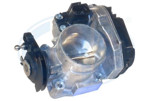 Throttle Body (556111)