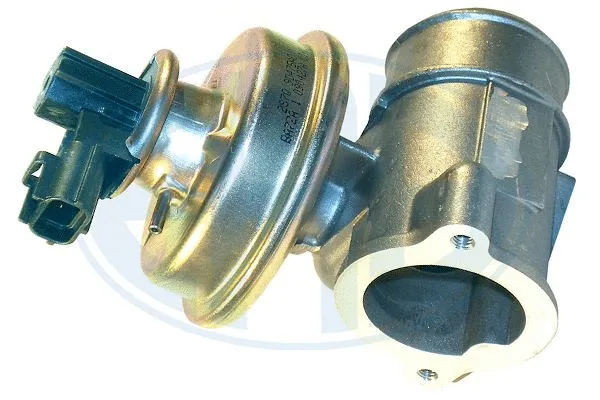 EGR Valve (555069)