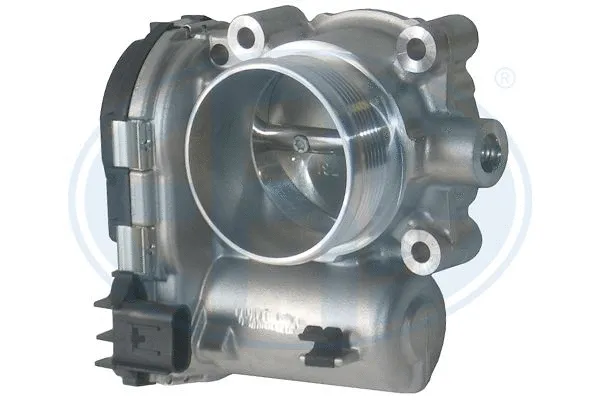 Throttle Body (556186)