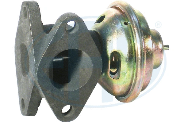EGR Valve (555199)
