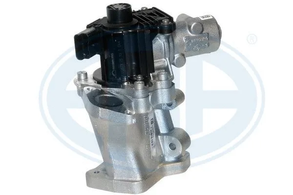 EGR Valve (555245)
