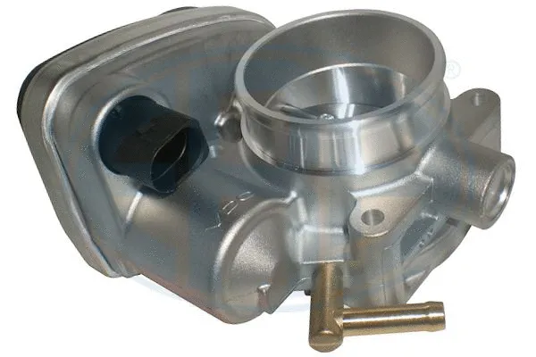 Throttle Body (556220)