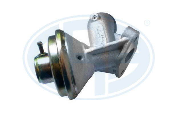 EGR Valve (555010)