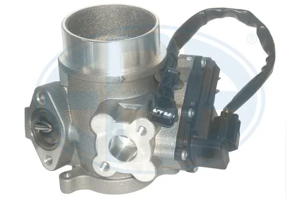 EGR Valve (555315)