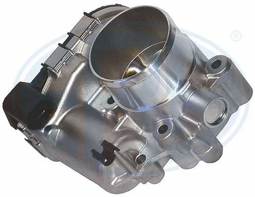 Throttle Body (556184)