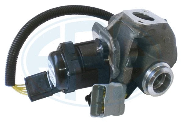 EGR Valve (555013)