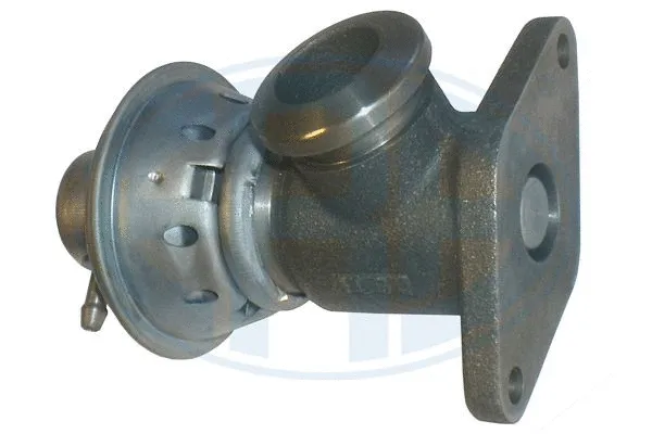 EGR Valve (555004)