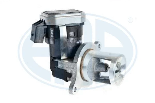 EGR Valve (555252)