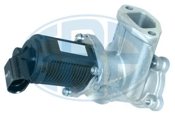 EGR Valve (555070)