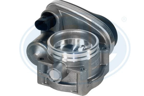 Throttle Body (556101)