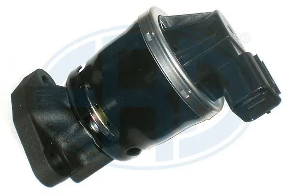 EGR Valve (555340)