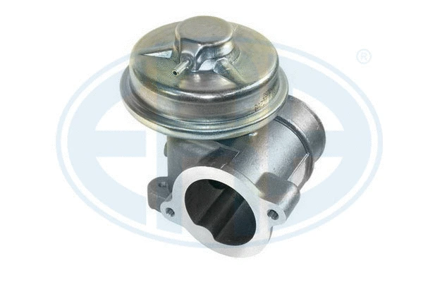 EGR Valve (555071)