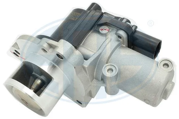 EGR Valve (555406)