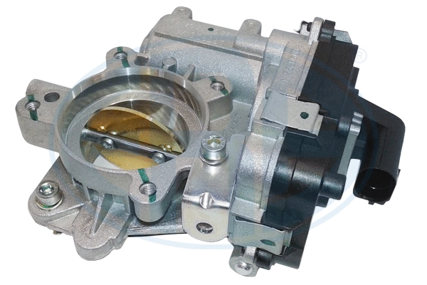 Throttle Body (556251)