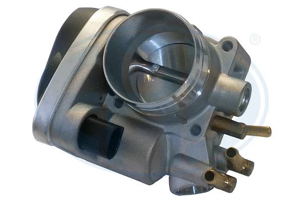 Throttle Body (556155)