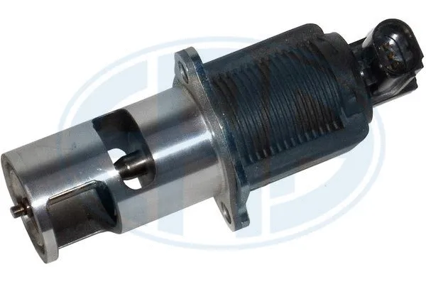 EGR Valve (555031)