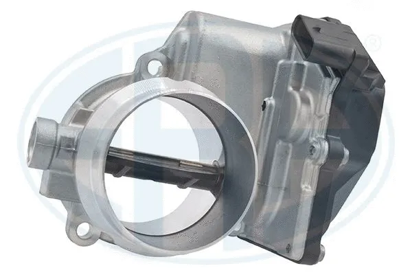 Throttle Body (556289)