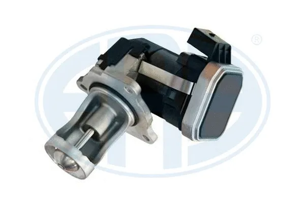 EGR Valve (555253)