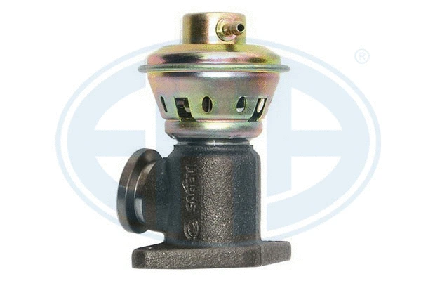 EGR Valve (555003)