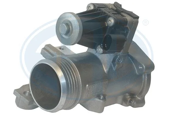 EGR Valve (555329)