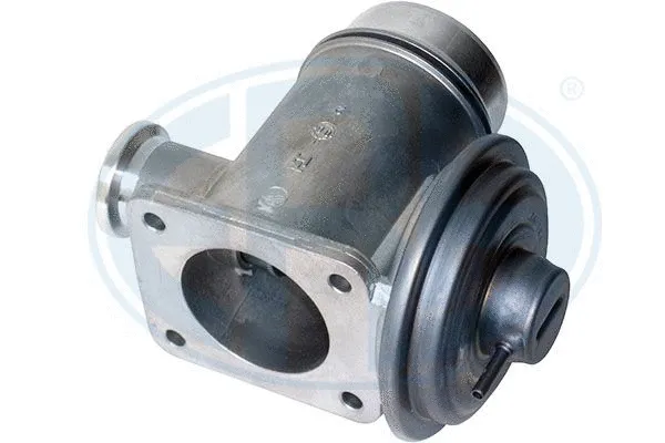 EGR Valve (555230)