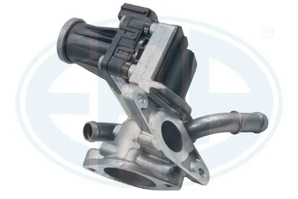 EGR Valve (555466)