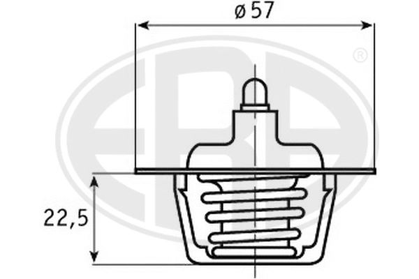 Thermostat, coolant (350246)