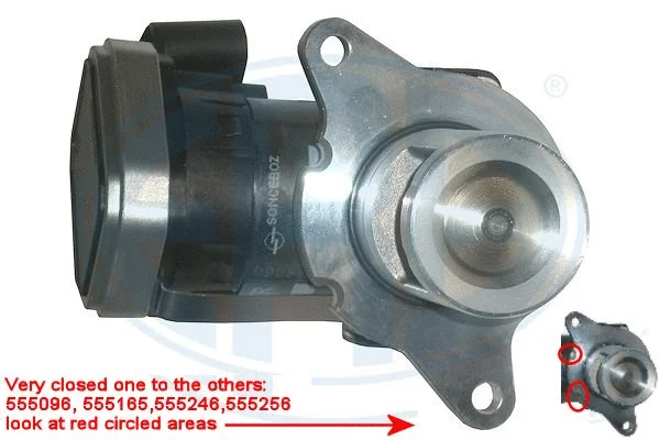 EGR Valve (555246)