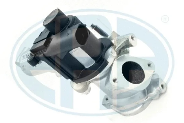 EGR Valve (555418)