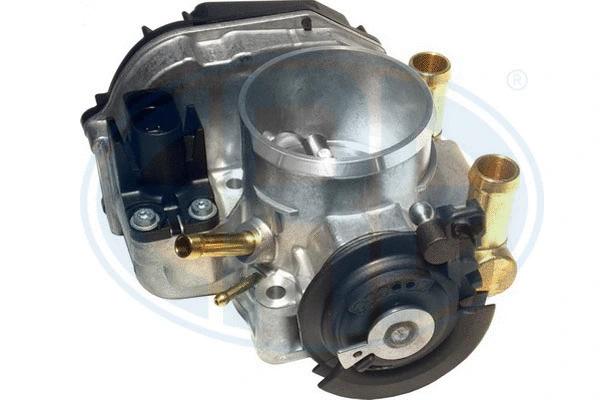 Throttle Body (556102)