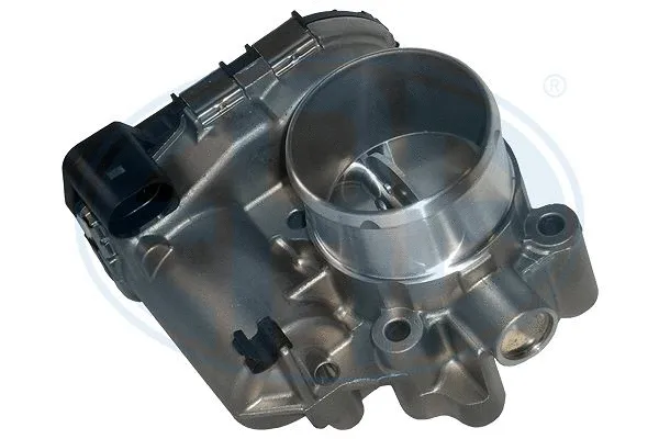 Throttle Body (556190)