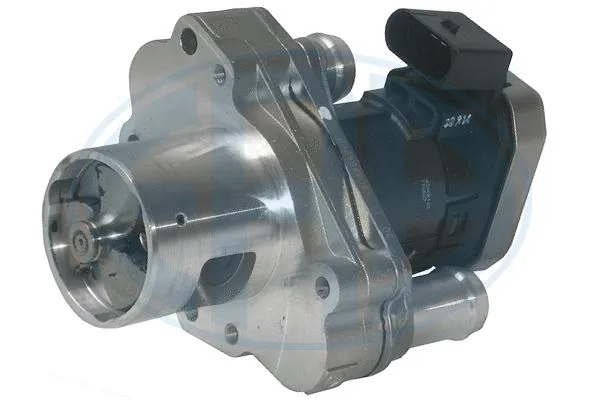 EGR Valve (555250)