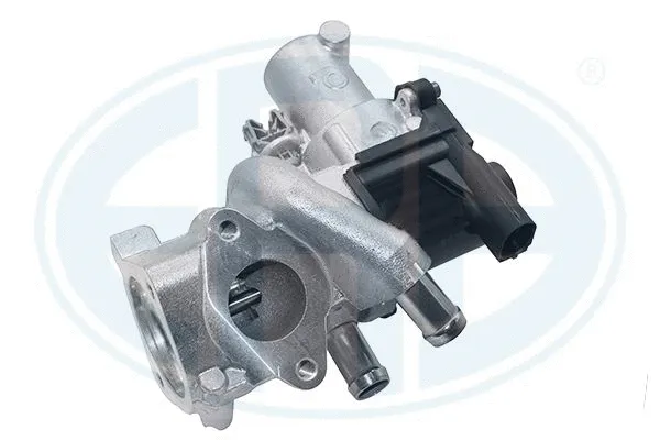 EGR Valve (555474)