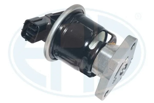EGR Valve (555463)