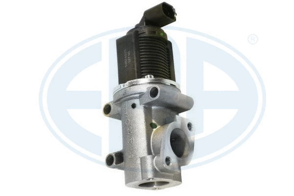 EGR Valve (555061)