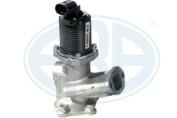 EGR Valve (555225)