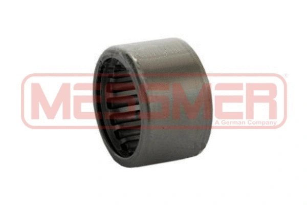 Bearing (218036)