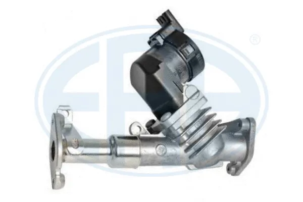 EGR Valve (555254)
