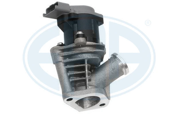 EGR Valve (555012)