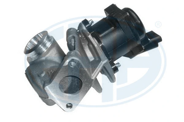 EGR Valve (555187)